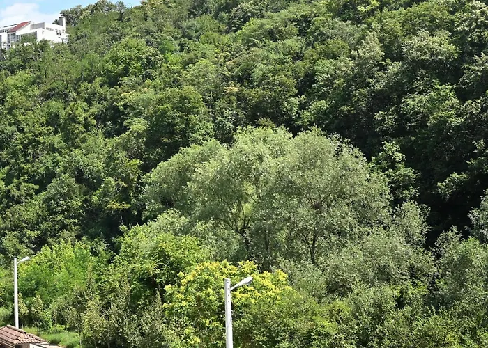 Guest house Coastalguest House Veliko Tarnovo